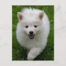 Search for esky postcards Happy birthday
