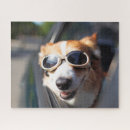 Search for corgi puzzles Queen's dog