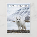 Search for svalbard postcards Arctic