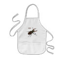 Search for beetle aprons Insect