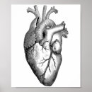 Search for vintage biology posters Heart