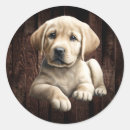 Search for yellow lab puppy stickers Dog