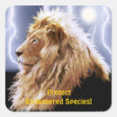 Search for endangered species stickers Big cats