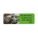 Search for russian return address labels Grey