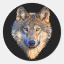 Search for wolf head stickers Nature