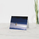 Search for coyote cards Wildlife