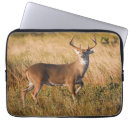 Search for grasslands cases Texas