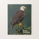 Search for regal puzzles Bird