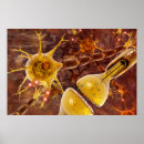 Search for axon posters Neuron