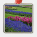 Search for flora christmas tree decorations Foliage