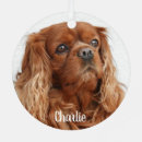 Search for cavalier king charles christmas tree decorations Animal