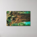 Search for big tree canvas prints California