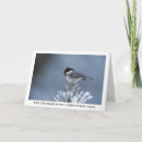 Search for coal christmas cards Bird