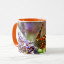 Search for beautiful butterflies butterfly mugs Insect