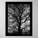 Search for monochrome photography posters Tree