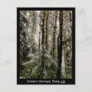 Search for base vertical postcards Green