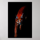Search for endangered lion posters Tiger