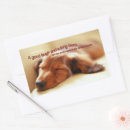 Search for sleep rectangle stickers Motivational