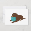 Search for chewing cards Puppy