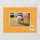 Search for gravity postcards I can has cheezburger