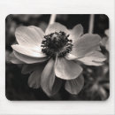 Search for windflower mouse mats Green