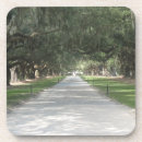 Search for charleston coasters South carolina