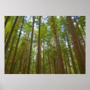 Search for looking up posters Nature