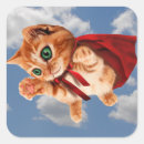 Search for flying cat stickers Orange