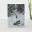 Search for creeks cards Snow