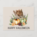 Search for happy bat postcards Pumpkin
