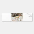 Search for full bumper stickers Cute