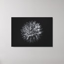 Search for black and white flowers canvas prints Pattern