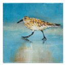 Search for sandpiper art Birds