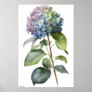 Search for hydrangeas art Blue hydrangea
