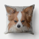 Search for papillon dog Modern
