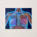 Search for breast puzzles Healthcare and medicine