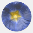 Search for hollyhock stickers Floral