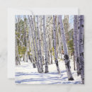 Search for aspen tree invitations Arizona