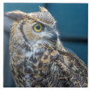 Search for birdwatcher tiles Birds