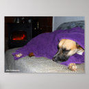 Search for sleeping dog posters Puppy