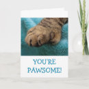 Search for fun cat birthday cards Kitty
