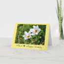 Search for march birthday cards Jonquil
