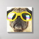 Search for pug dogs canvas prints Animal