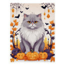 Search for animal cartoons posters Cat