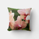 Search for south africa cushions Nature