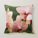 Search for south africa cushions Nature