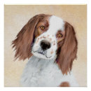 Search for irish setter posters Pet