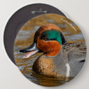 Search for duck pond badges Nature
