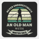 Search for skis stickers Skier