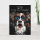 Search for funny border collie cards Dogs